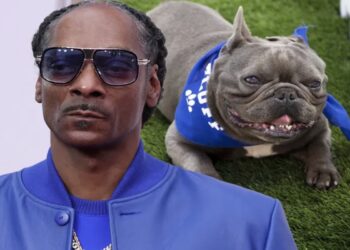 Snoop Dogg Mourns His Beloved French Bulldog Juelz
